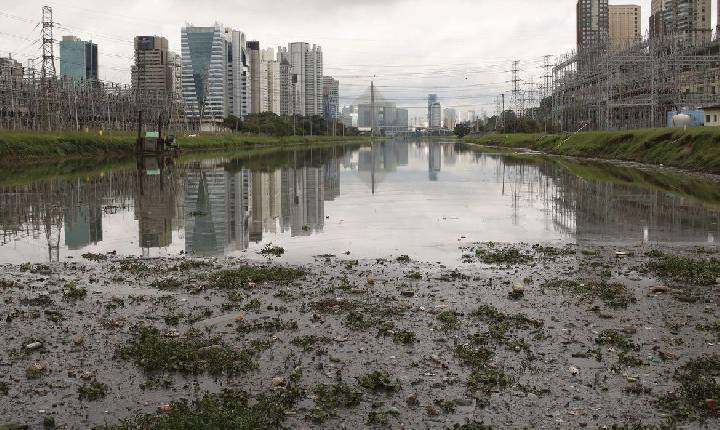 SP: máquina para capturar pernilongos está em testes no Rio Pinheiros